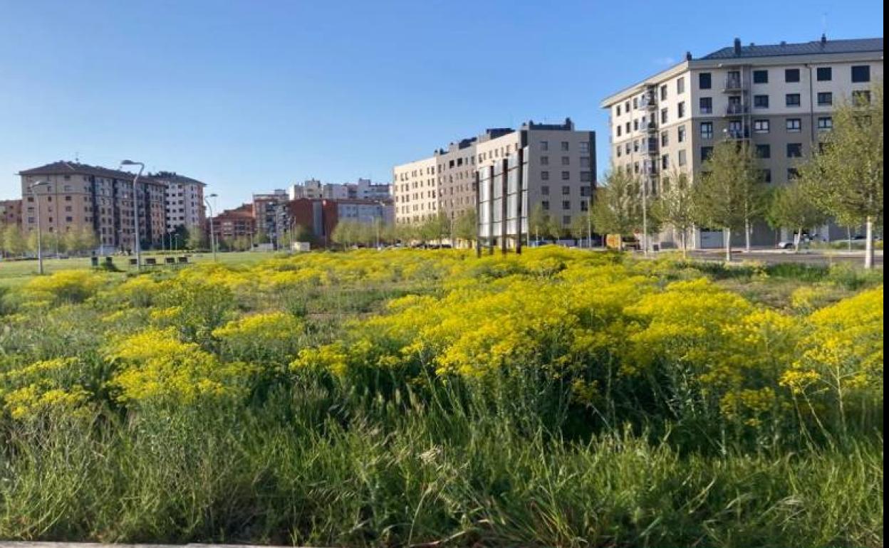 El PP denuncia el «abandono de Diez al barrio de La Lastra»