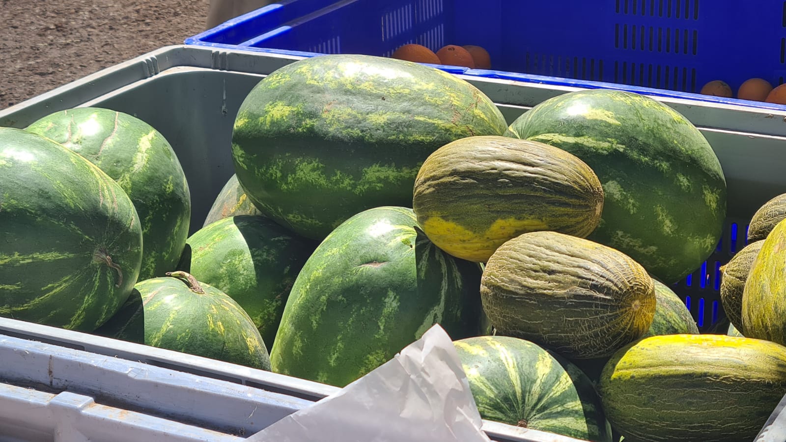 Fotos: El mercado de los jueves de Riello