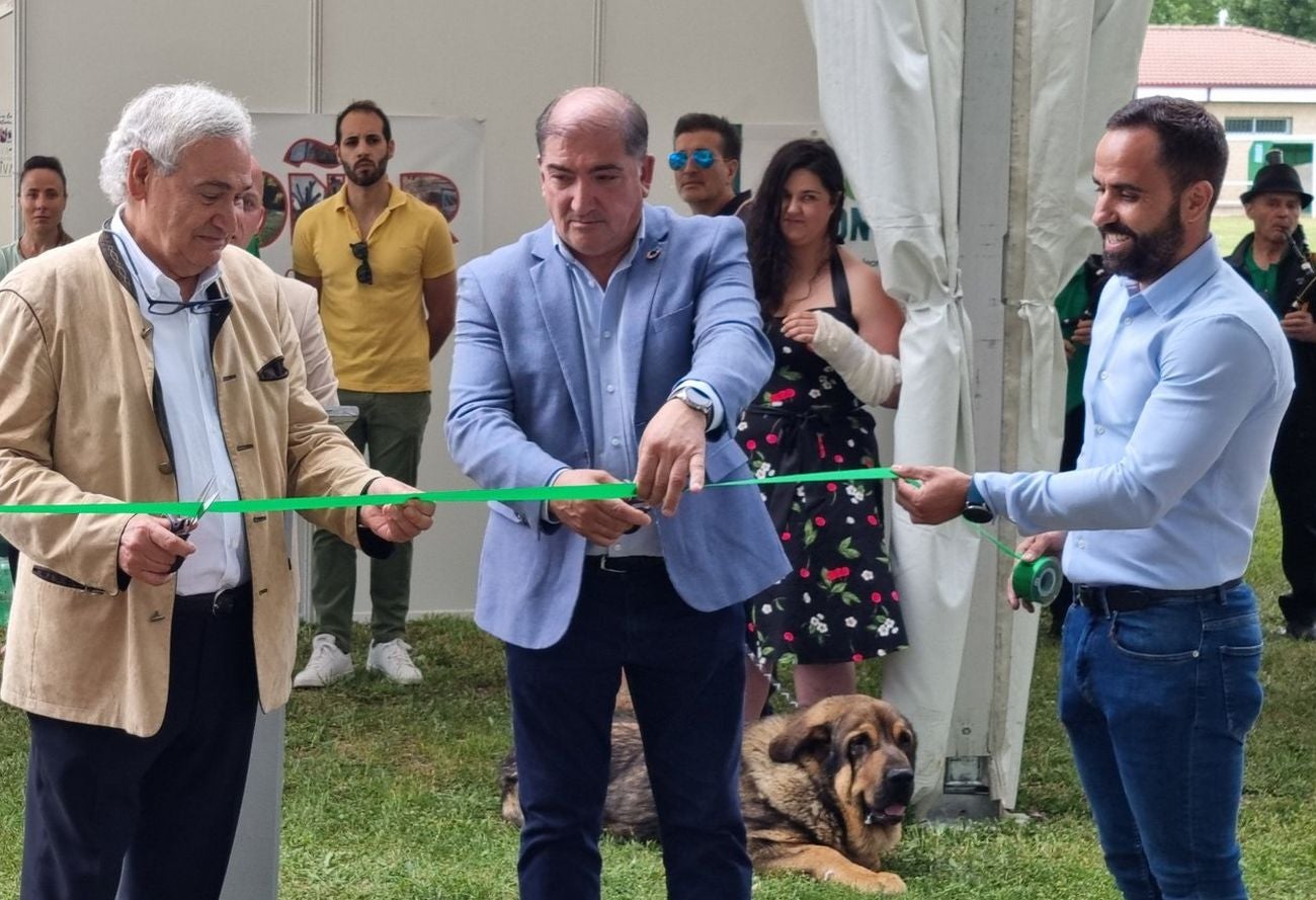 Boñar muestra lo mejor de la montaña leonesa en la 'IV Feria de la Montaña'. La Feria de la Montaña Leonesa vive su puesta de largo en una edición con tresjornadas y El Soto de Boñar como escenario. Los visitantes podrán disfrutar de una veintena de actividades y 17 expositores. 