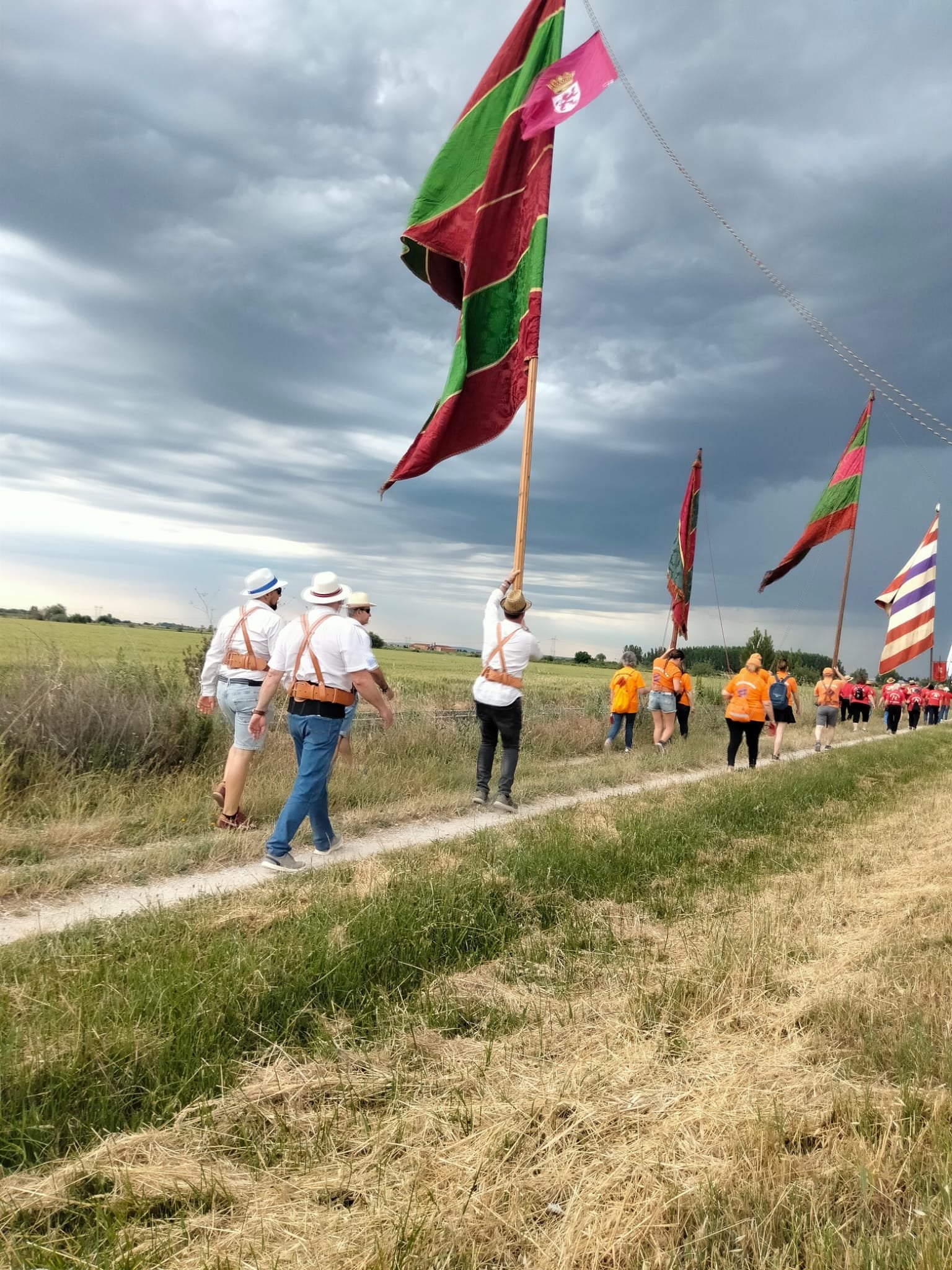 La iniciativa 'Pendones concejiles en los Caminos de Santiago del viejo Reino de León' 