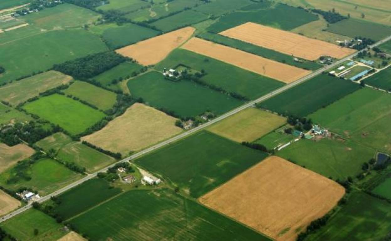 Las organziaciones profesionales agrarias rechazan en anuncio del consejero de agricultura.