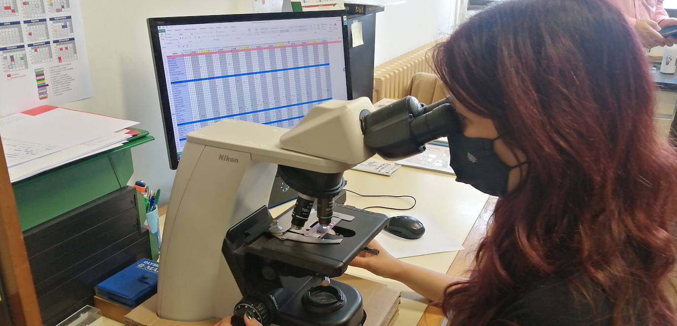 Algunos de los aparatos que miden el aire en la ULE