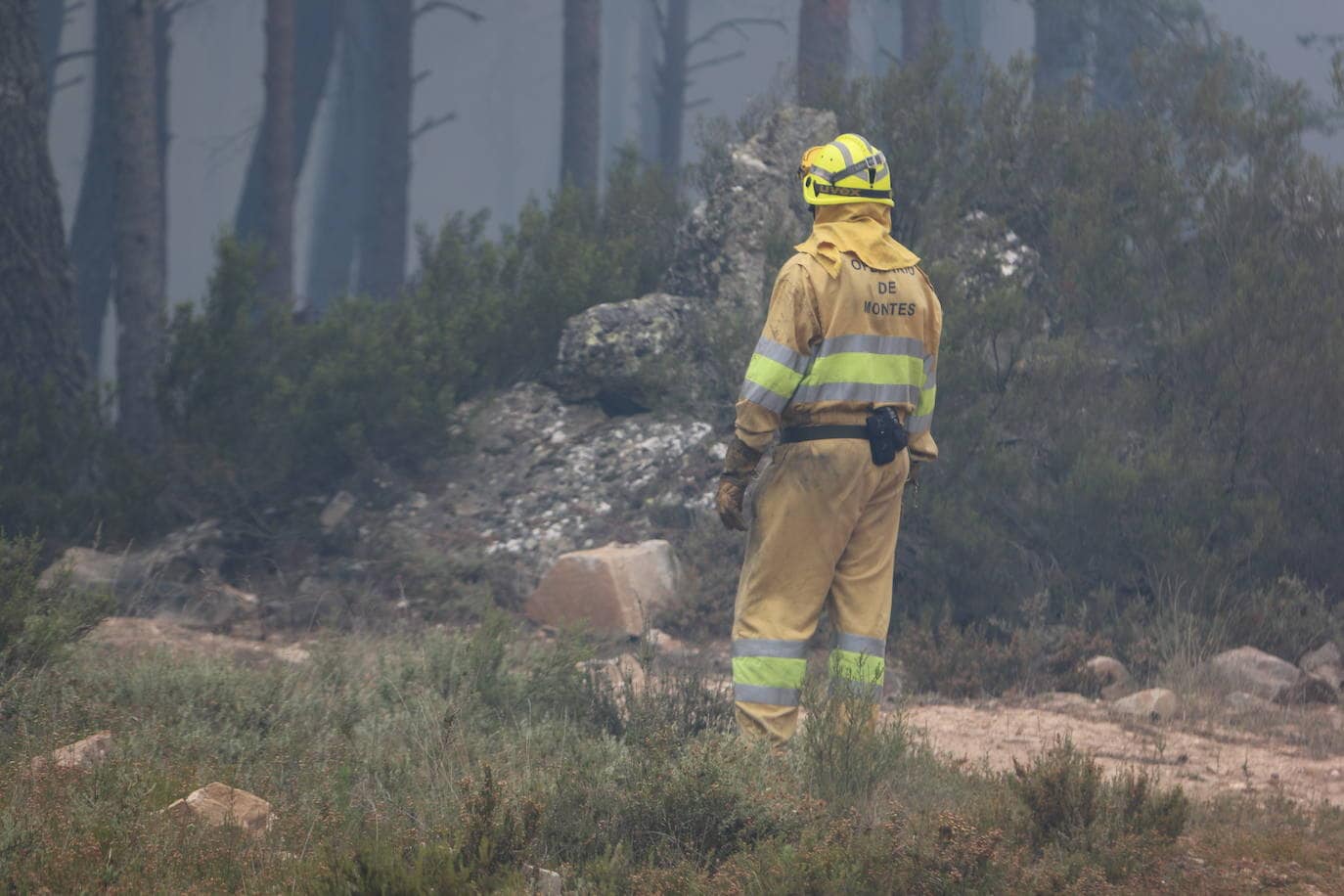 Fotos: El paisaje que deja el incendio de la Sierra de la Culebra