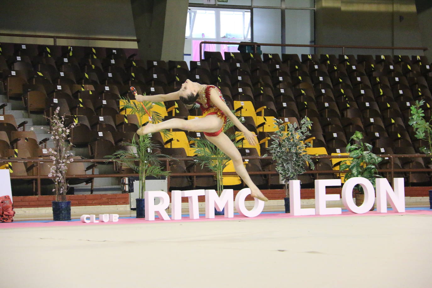 En torno a 150 gimnastas del club leonés se dan cita en el evento con el que se cierra el curso en el Palacio de los Deportes de León con exhibiciones y distintos ejercicios