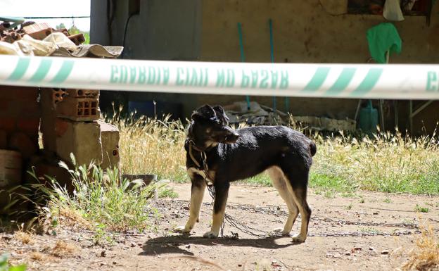 Galería. La policía cietífica y la guardia civil investigan en la casa de Villagarcía de la Vega.