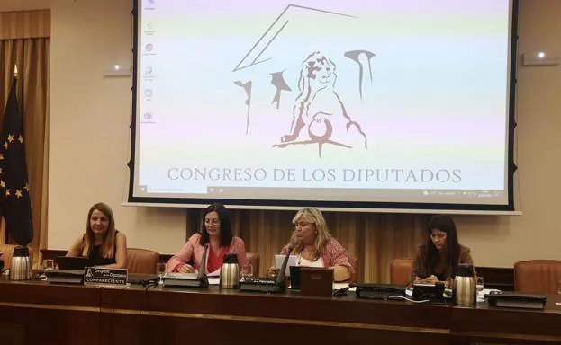 La presidenta de la AEAFA, María Dolores Lozano, segunda por la derecha, en el Congreso.