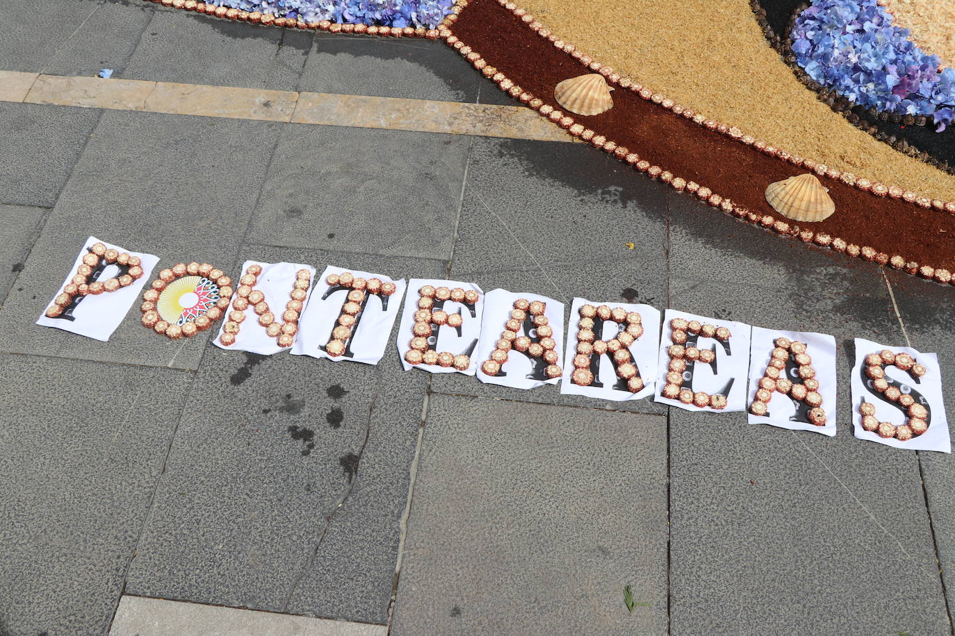 Fotos: Una alfombra floral cubre la plaza de la catedral de León