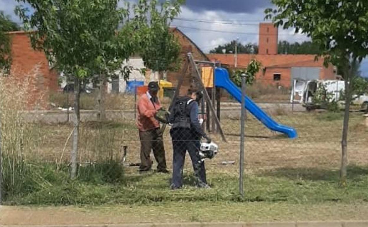 Los vecinos desbrozaron el parque de la localidad con su propia maquinaria.