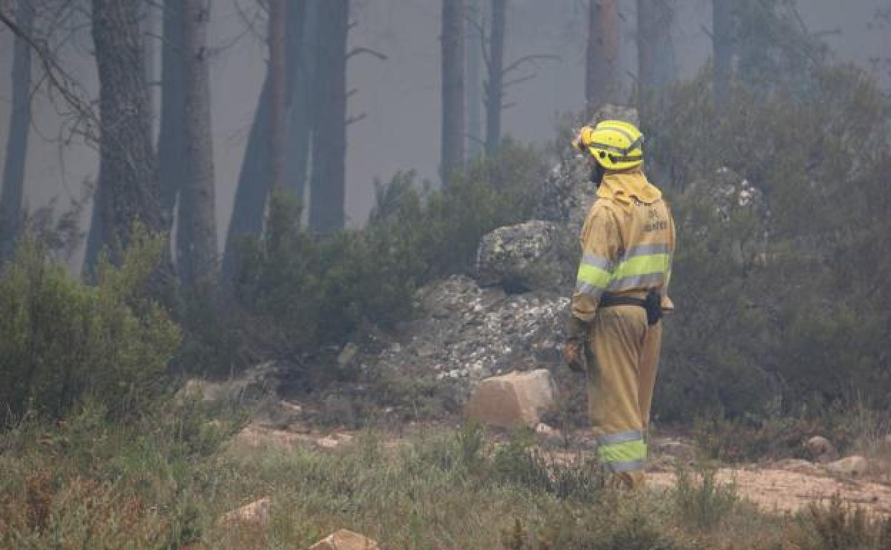 Un bombero forestal trabaja en extinguir el incendio en la Sierra de la Culebra, en Zamora.