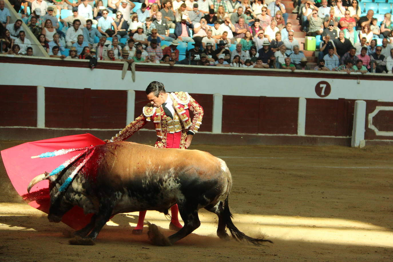 Manzanares durante un lance de la corrida