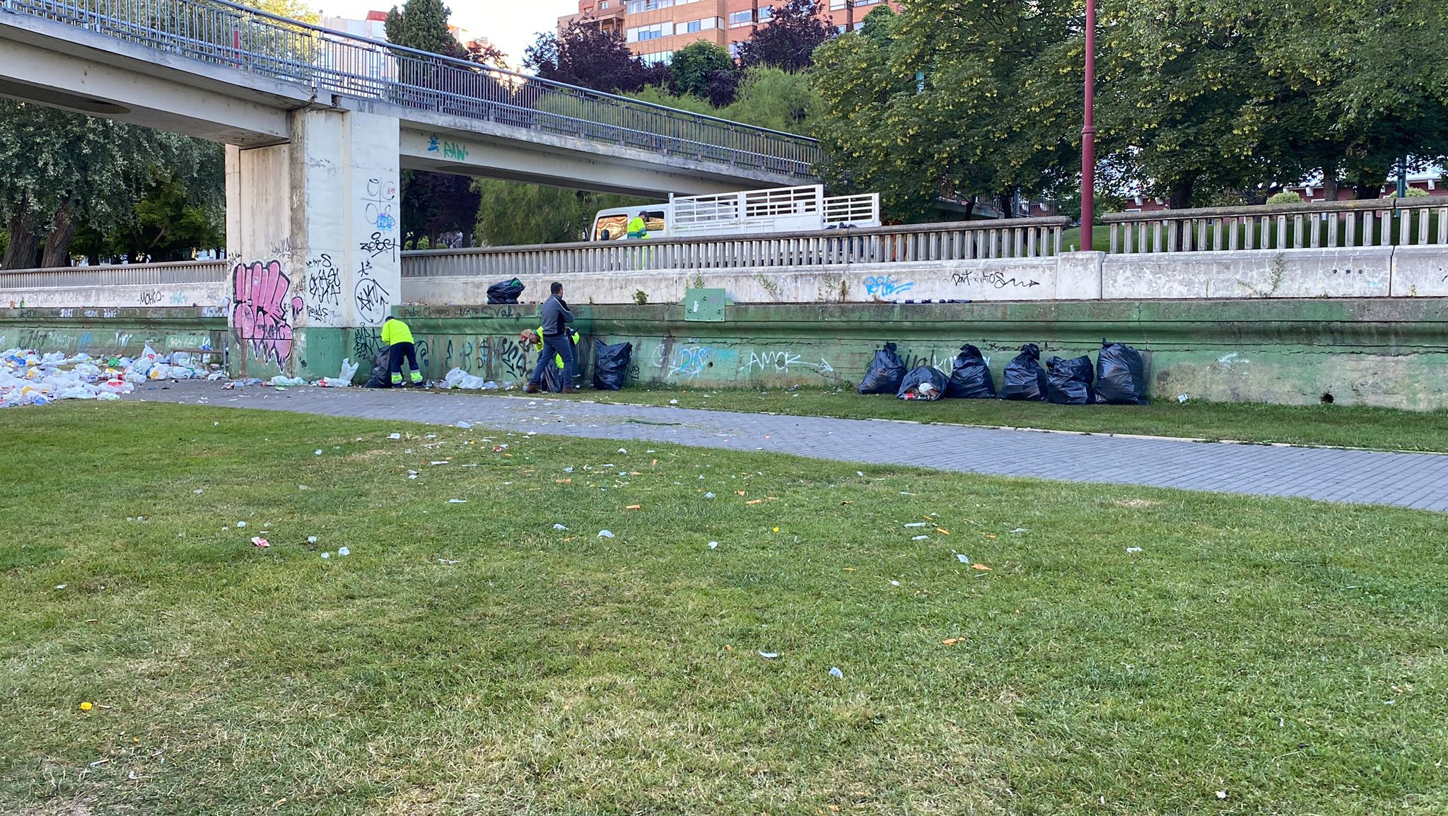 San Pedro se cita con el botellón a orillas del Bernesga. Las brigadas del Servicio de Jardines del Ayuntamiento de León recoge kilos de basura que los más jóvenes dejaron durante la pasada noche en una nueva fiesta en la ribera del río.