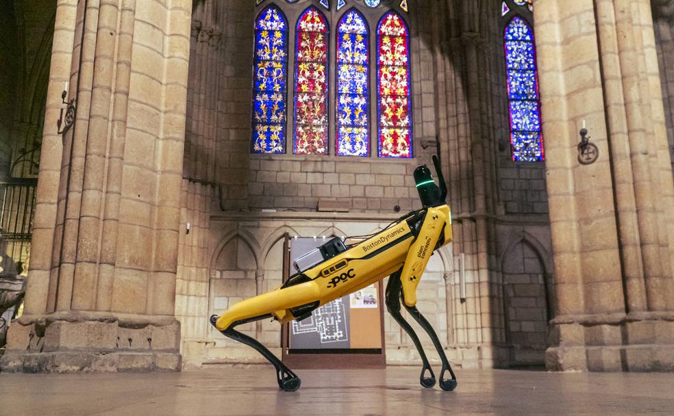 Spot, durante su 'trabajo' en la Catedral de León.