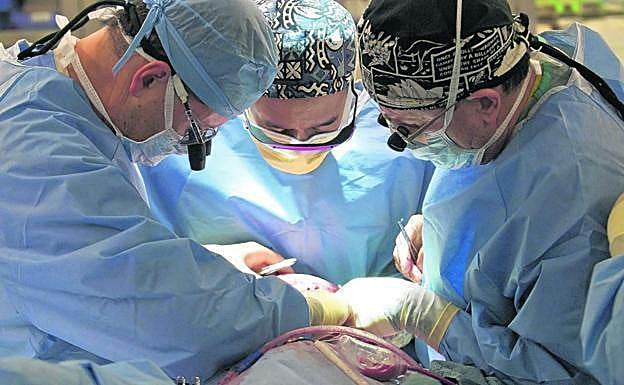 León registra once donantes de órganos en el primer trimestre de 2022.