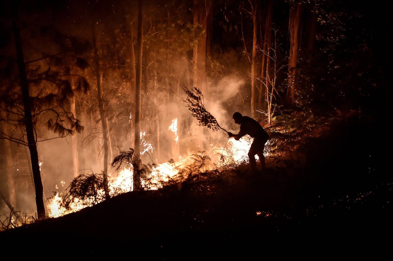 Fotos: El fuego devora Portugal