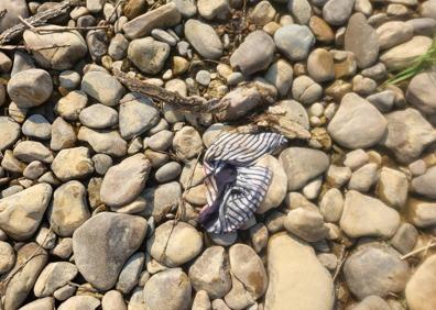Imagen secundaria 1 - Denuncian la basura que se acumula en el Torío debido a los baños con la ola de calor