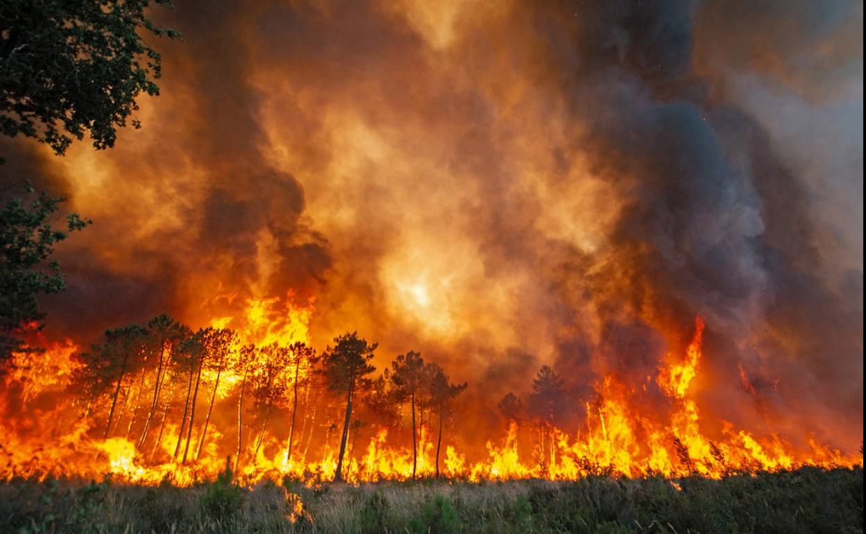 Uno de los incendios desatados en el sur de Francia.