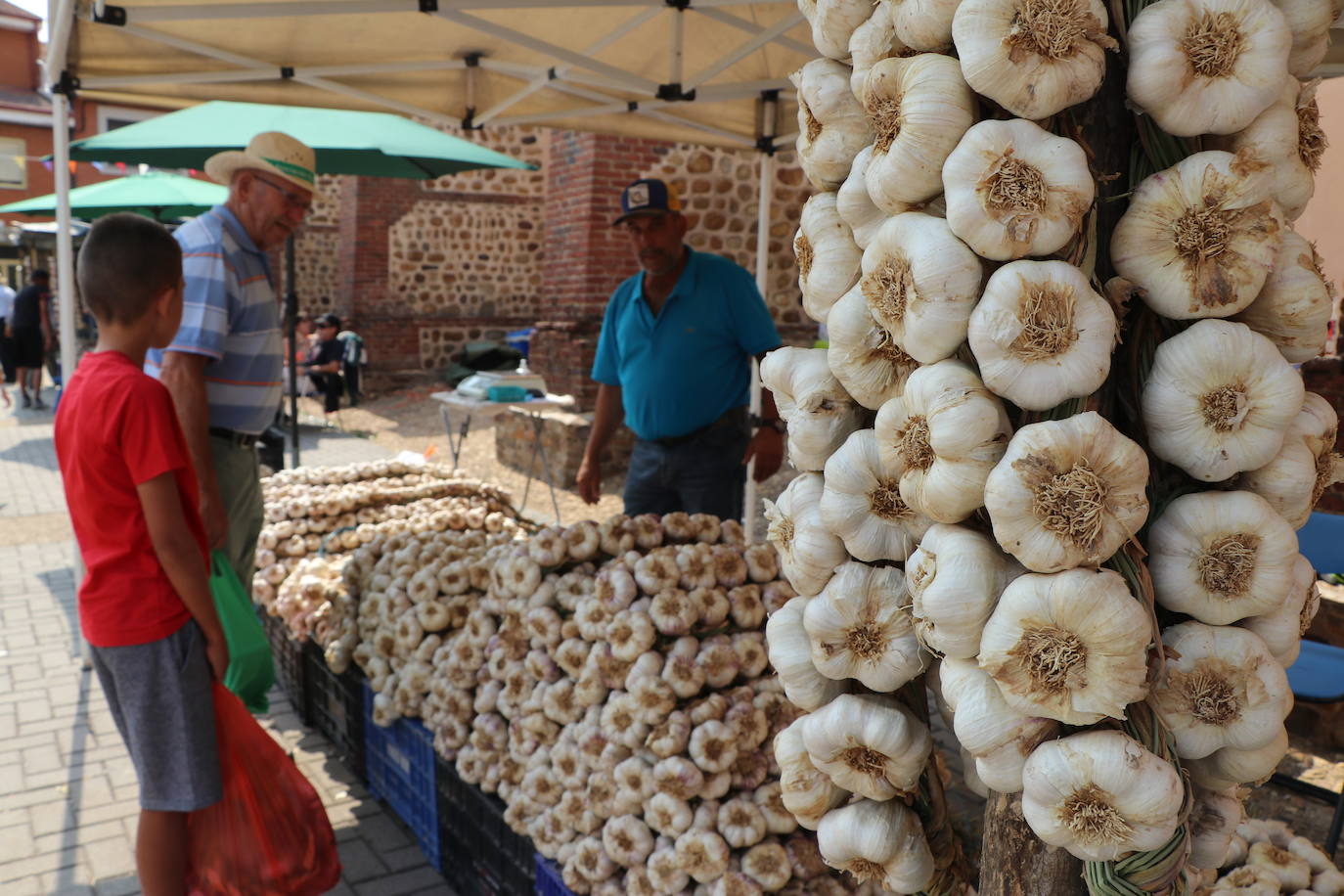 Fotos: Feria del Ajo en Santa Marina del Rey