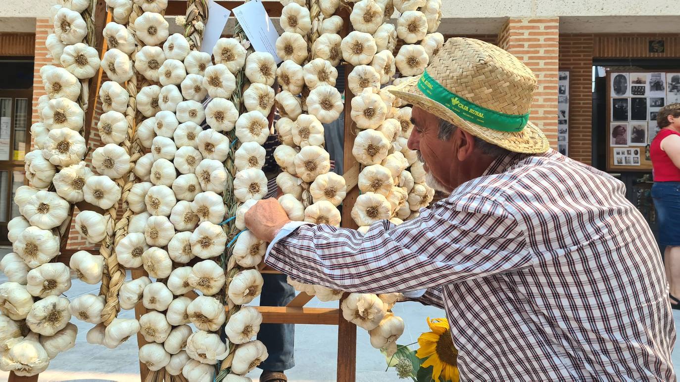 Fotos: Feria del Ajo en Santa Marina del Rey