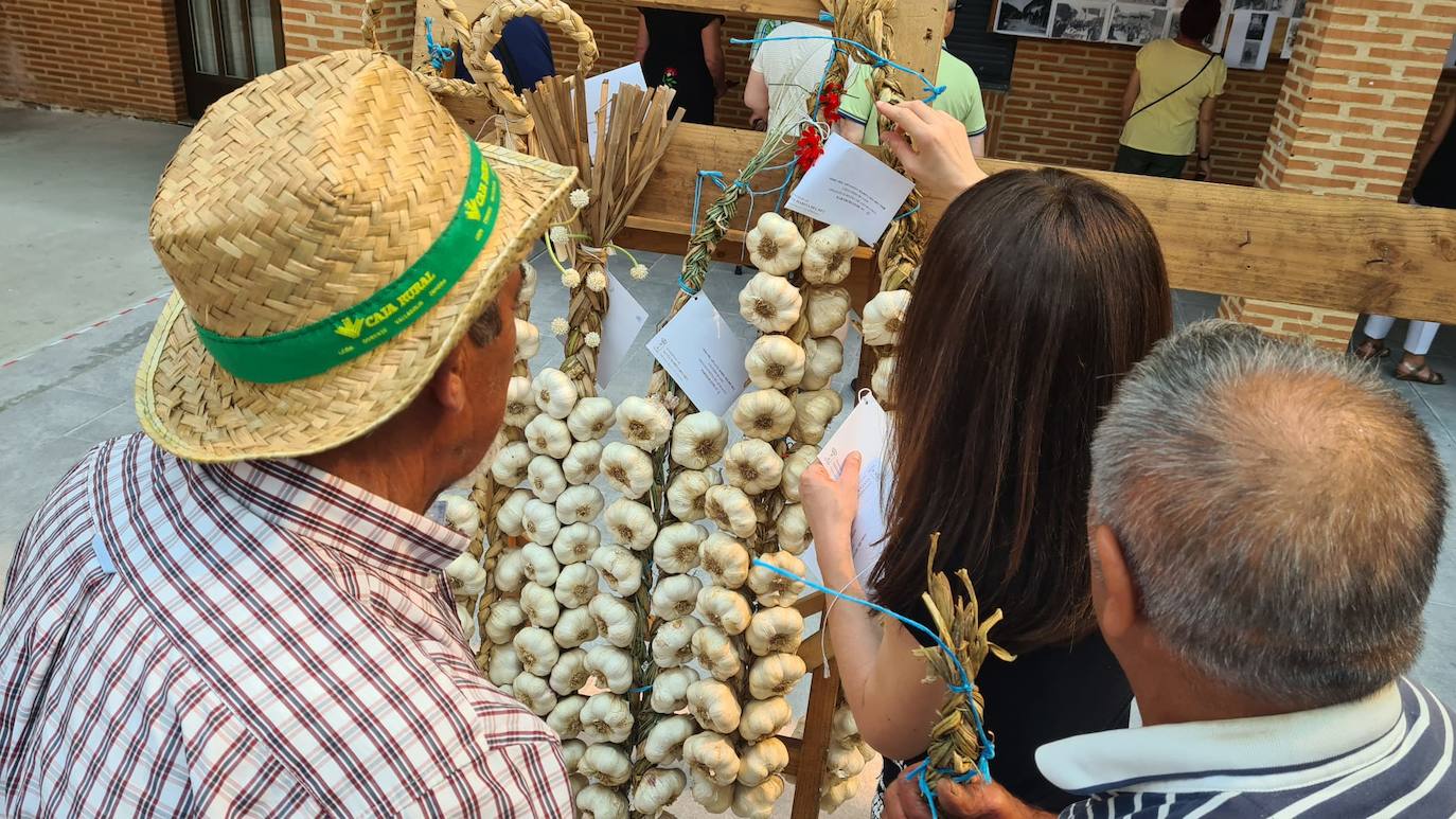 Fotos: Feria del Ajo en Santa Marina del Rey