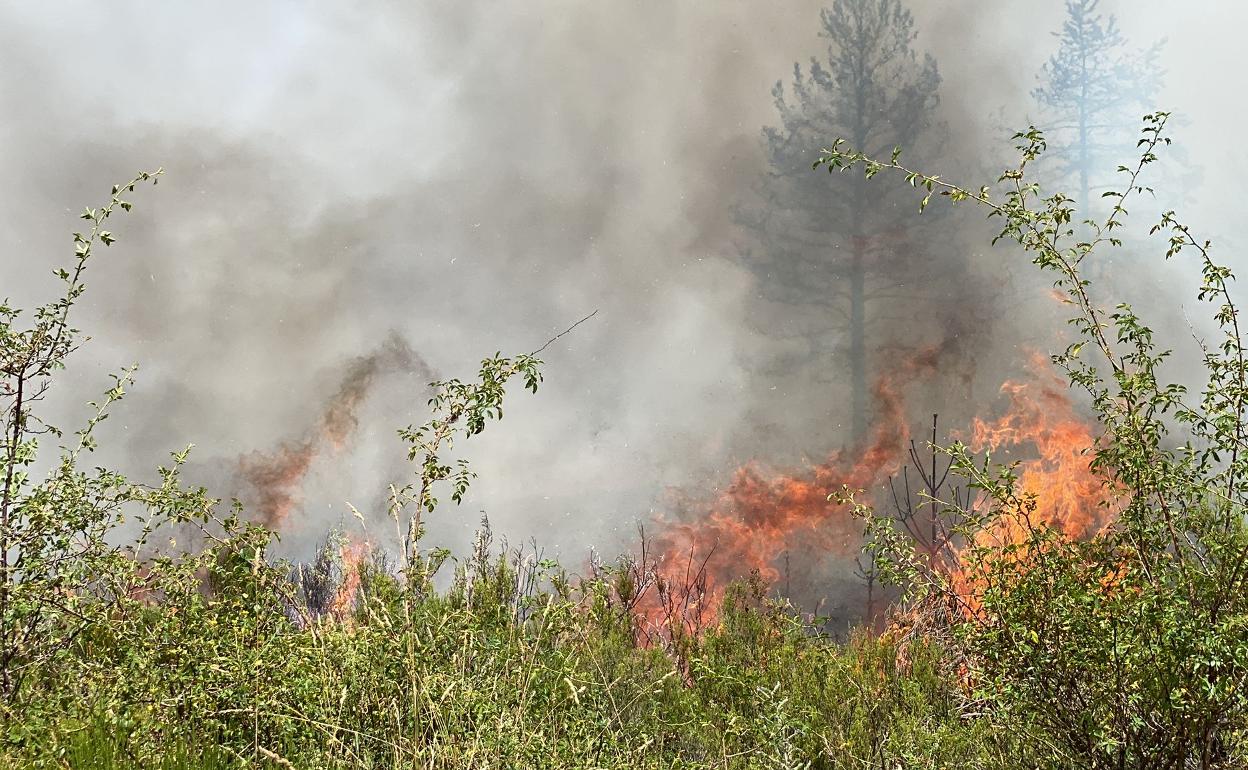 Incendio en la provincia de León.