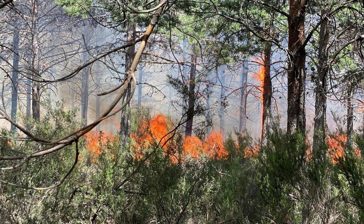 Se espera que empeoren los incendios activos en Castilla y León debido a los fuertes vientos.