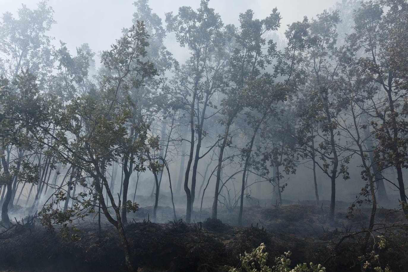 Incendio en el monte Aquiana en el Bierzo, por el que ha tenido que ser desalojado el pueblo de San Adrián. 