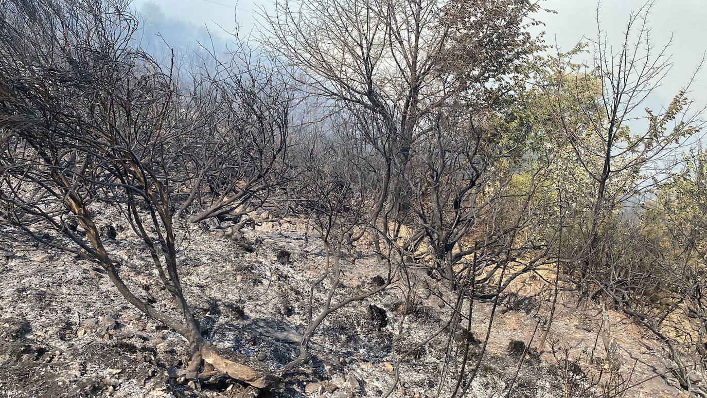 Fotos: Incendio forestal en Montes