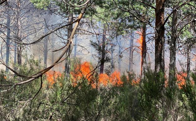 El fuego avanza sobre Monte de Valdueza.