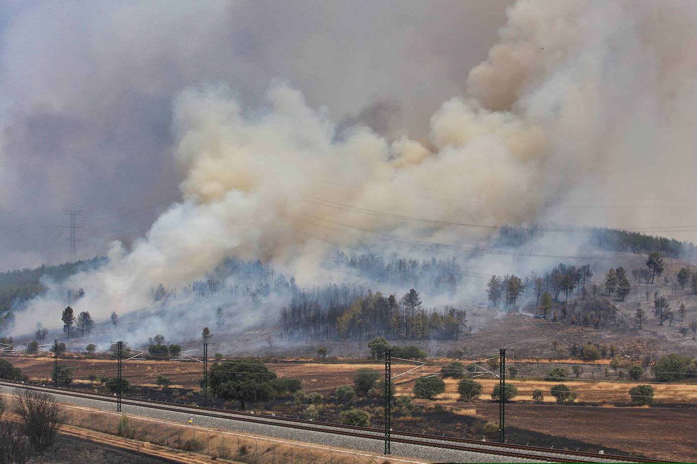 Incendio en la provincia de Zamora