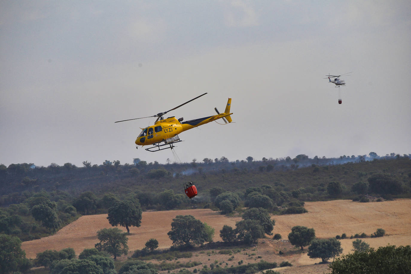 Incendio en la provincia de Zamora