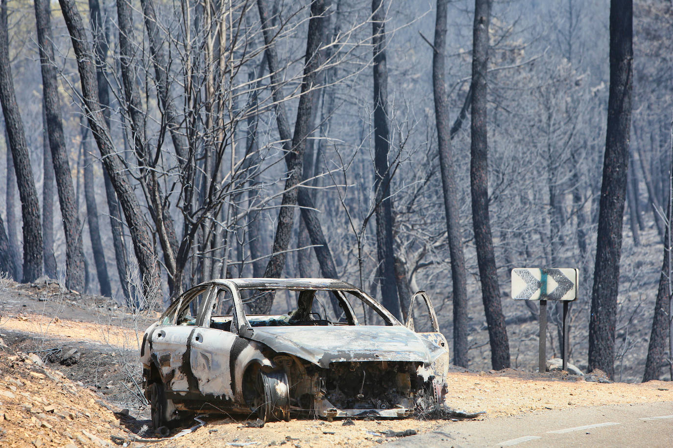 Incendio en la provincia de Zamora