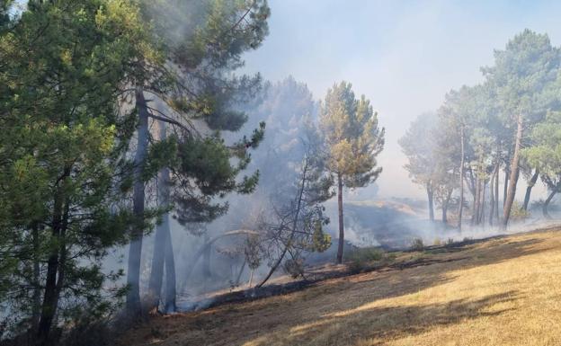 Imágenes del incedio originado el pasado domingo en el Club de Golf del Bierzo.