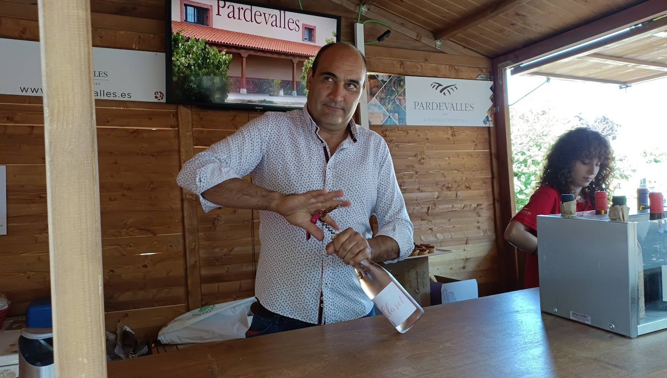 Fotos: El vino riega Valencia de Don Juan