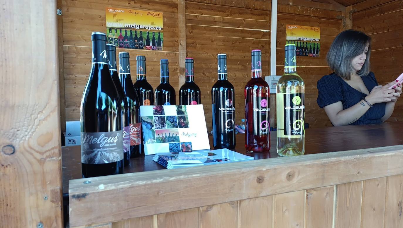 Fotos: El vino riega Valencia de Don Juan