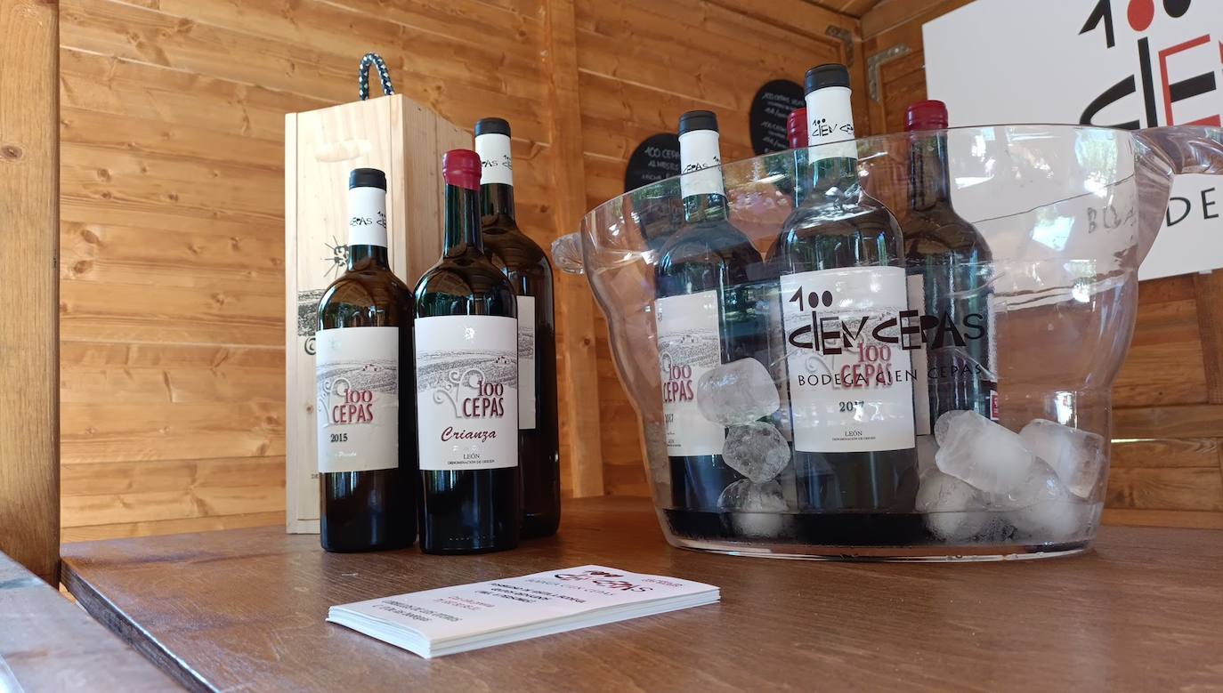 Fotos: El vino riega Valencia de Don Juan