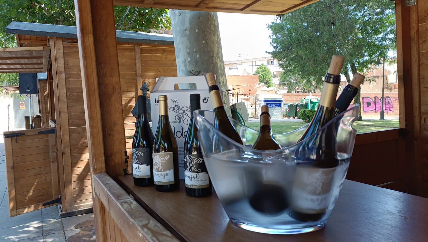 Fotos: El vino riega Valencia de Don Juan