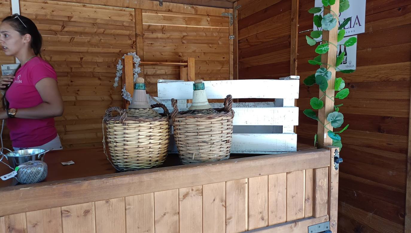 Fotos: El vino riega Valencia de Don Juan