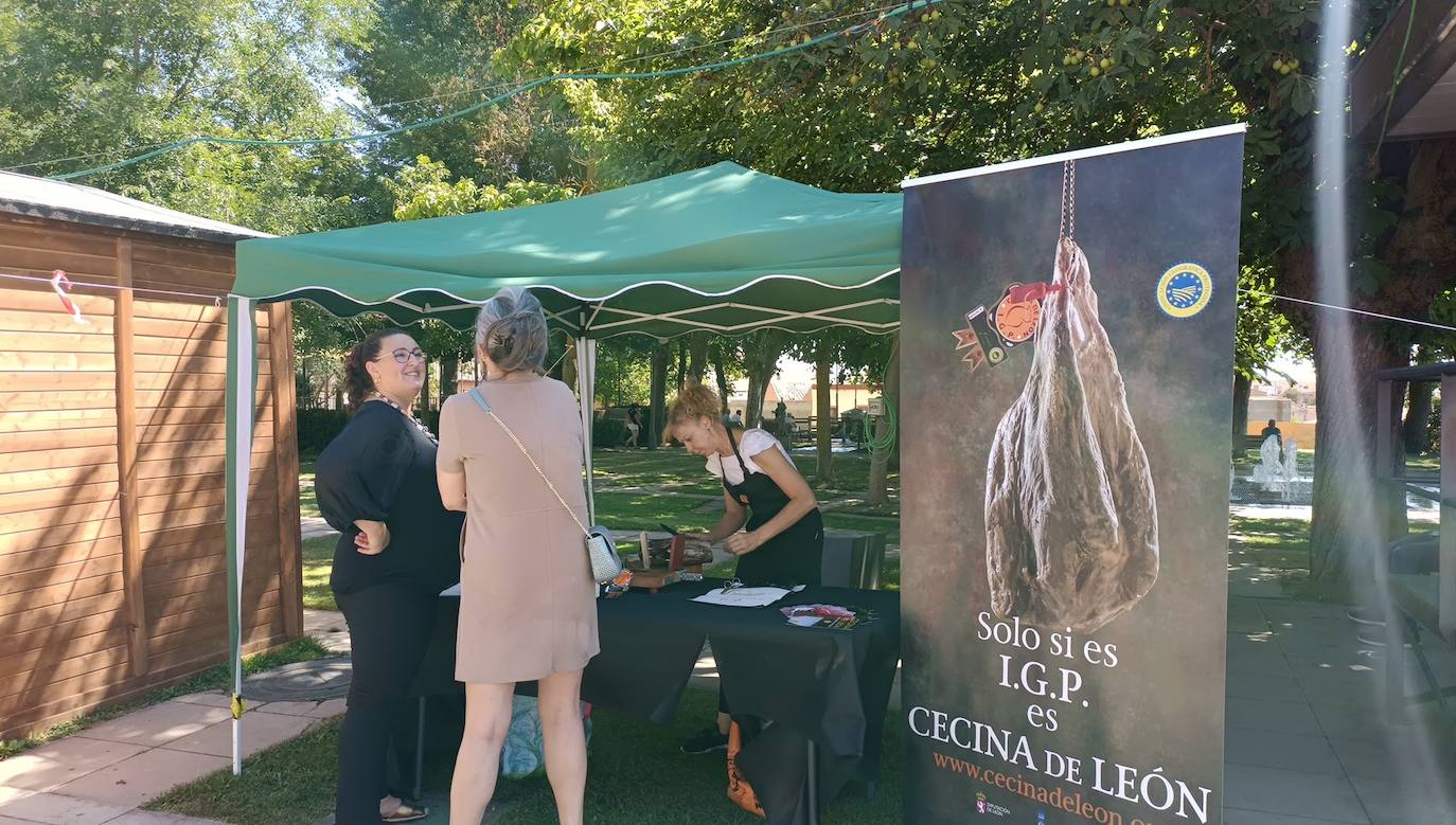 Fotos: El vino riega Valencia de Don Juan