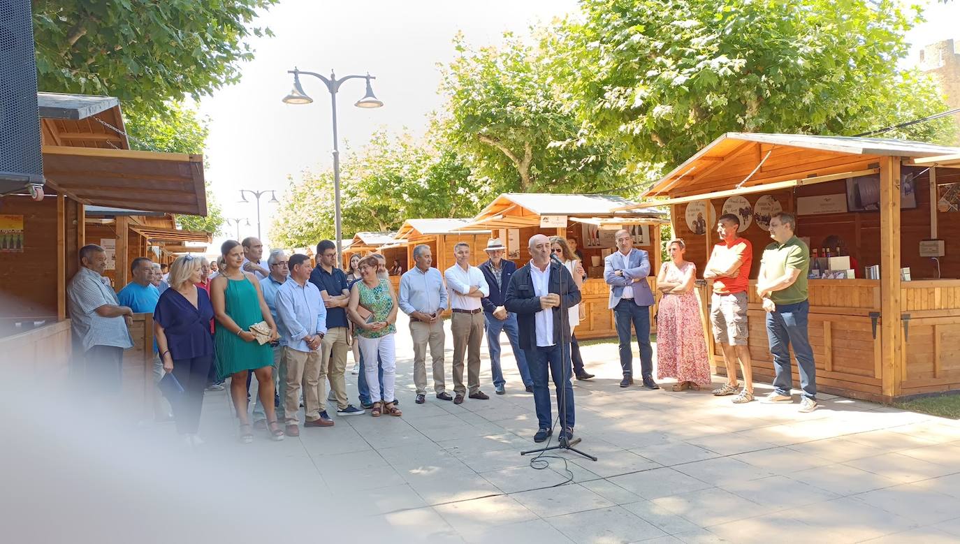 Fotos: El vino riega Valencia de Don Juan