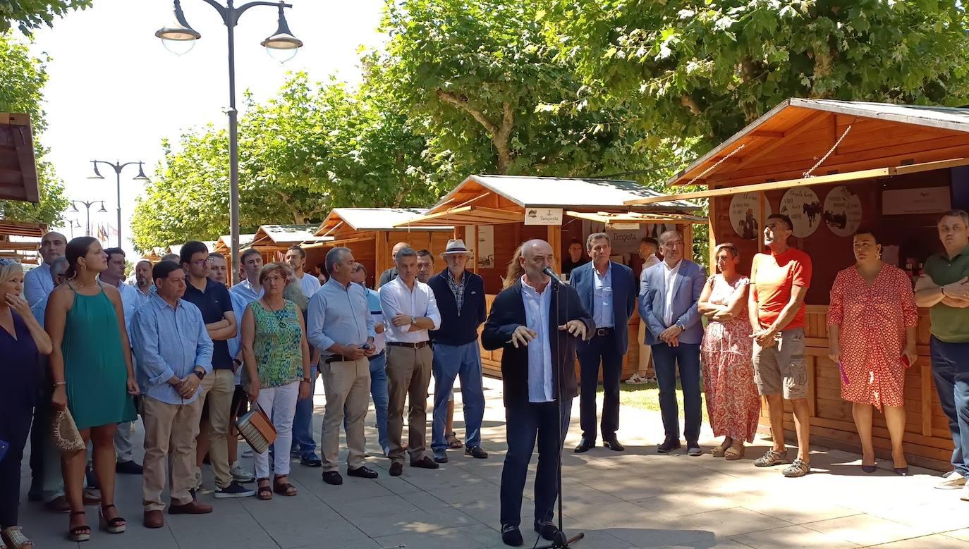 Fotos: El vino riega Valencia de Don Juan