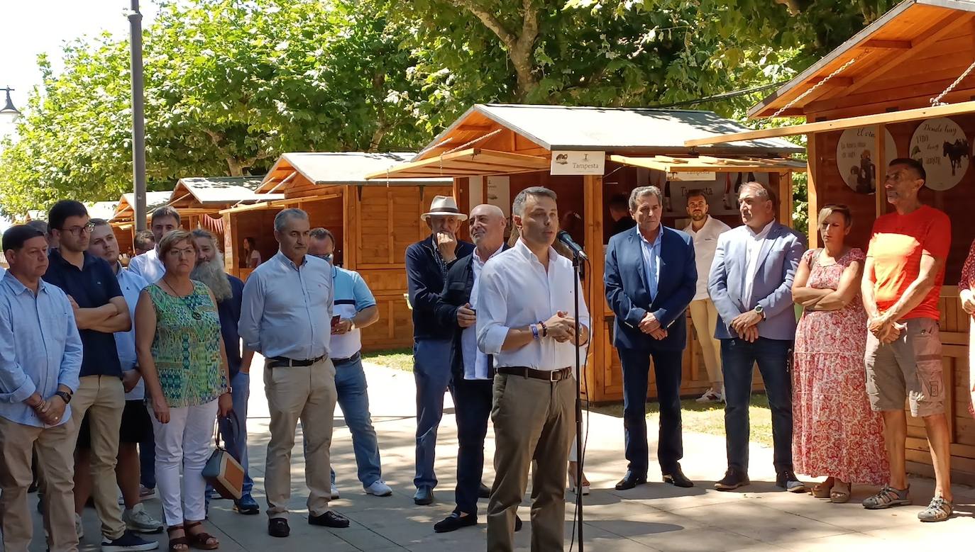 Fotos: El vino riega Valencia de Don Juan