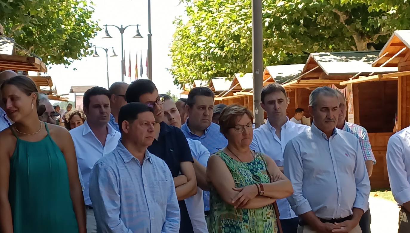 Fotos: El vino riega Valencia de Don Juan