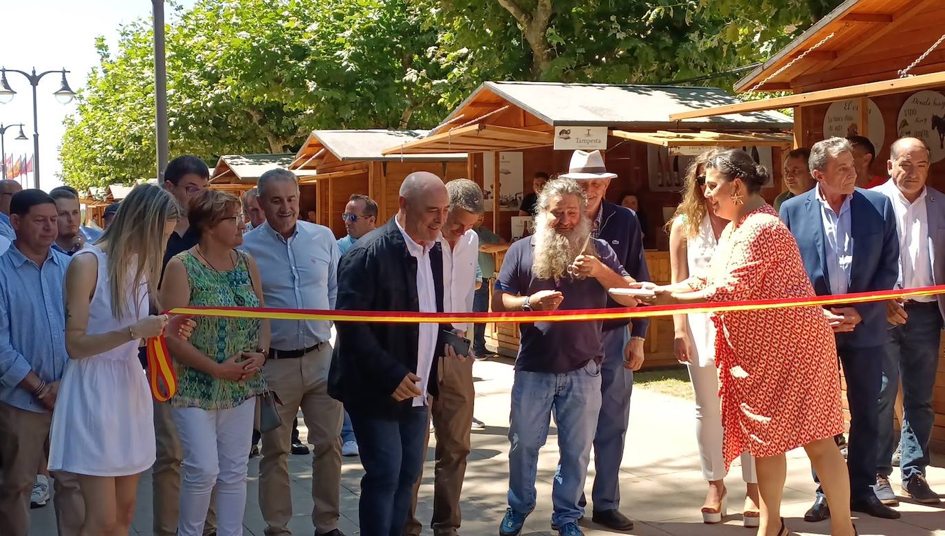 Fotos: El vino riega Valencia de Don Juan