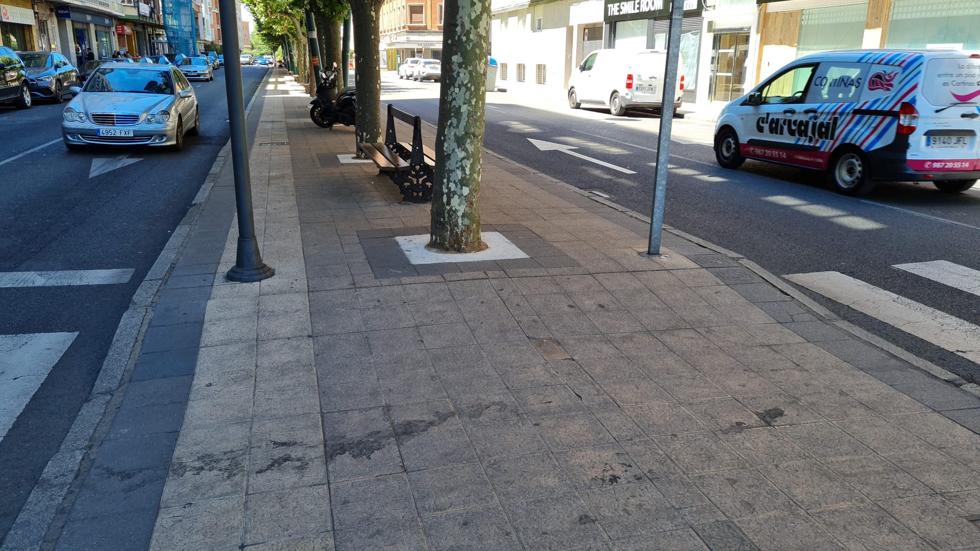 Fotos: La suciedad se apodera de la ciudad de León