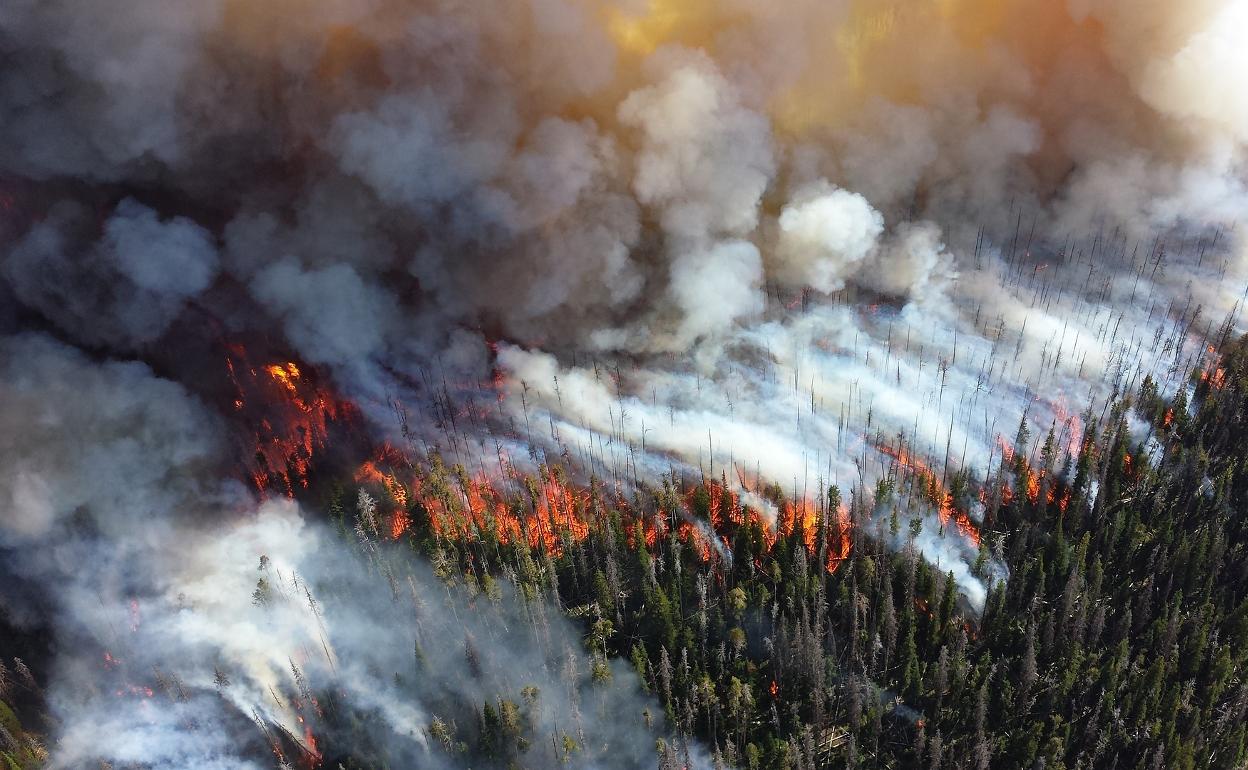 Imagen de un incendio.