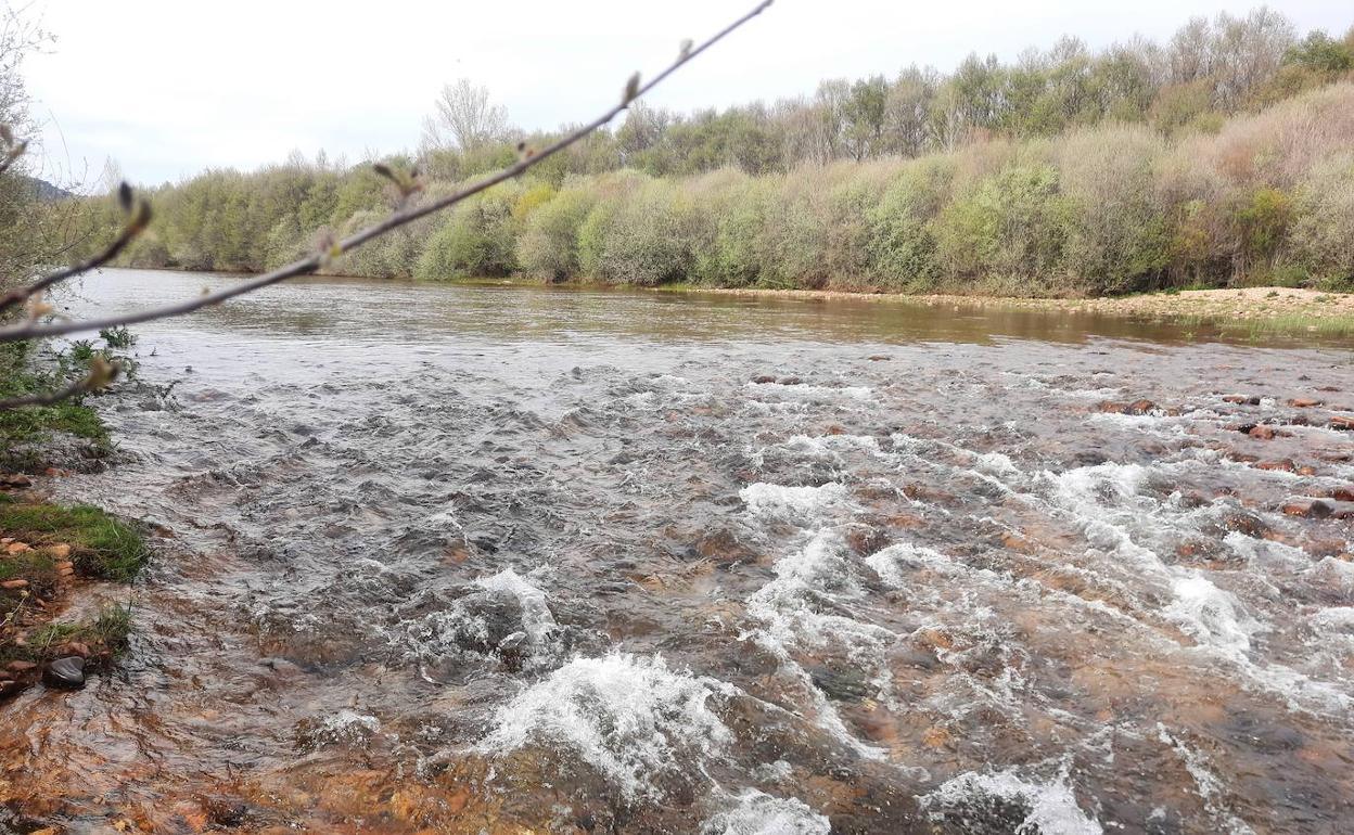 Imagen del río Eria. 