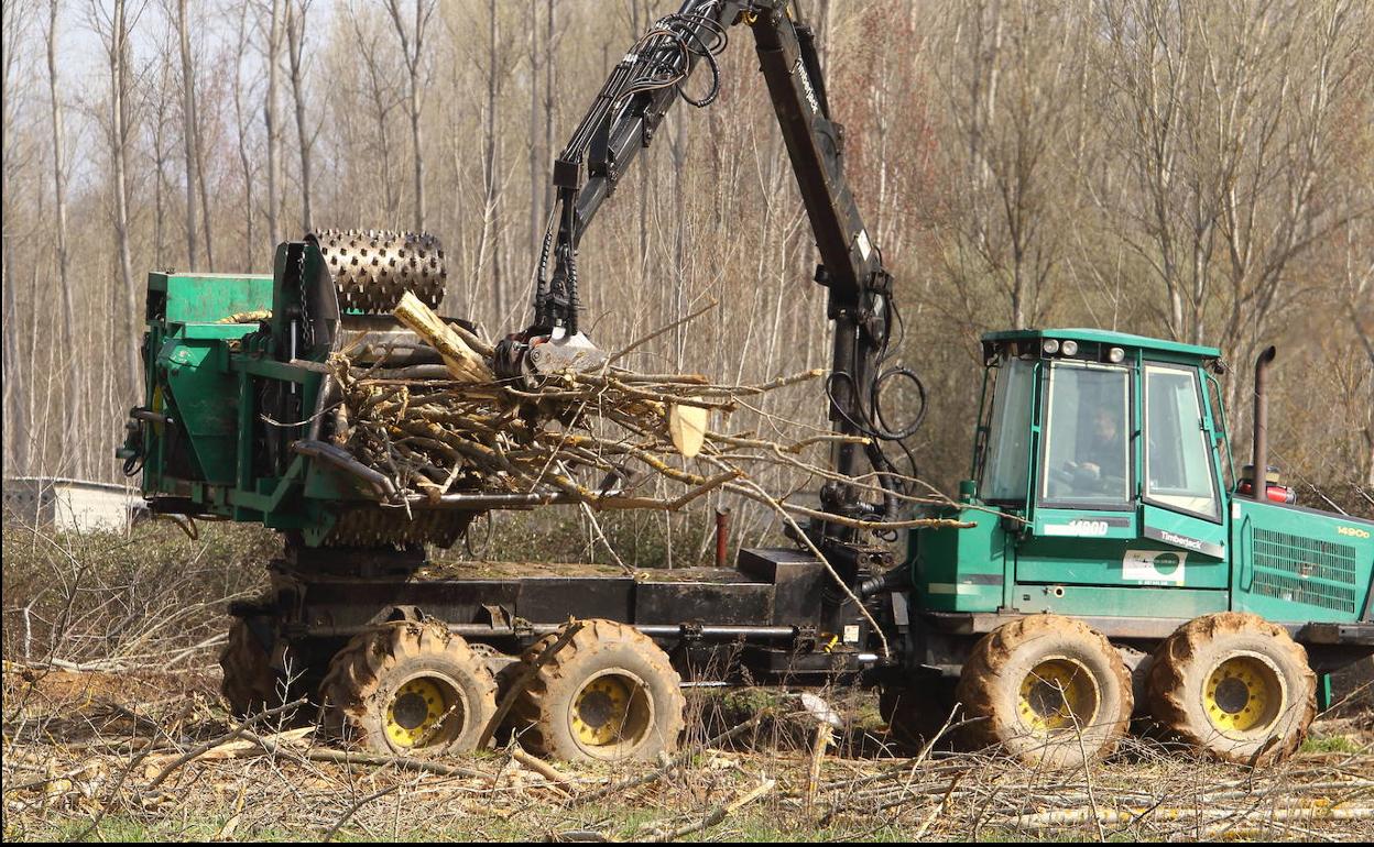 El proceso de certificación por este sistema permite utilizar el certificado P.E.F.C. 
