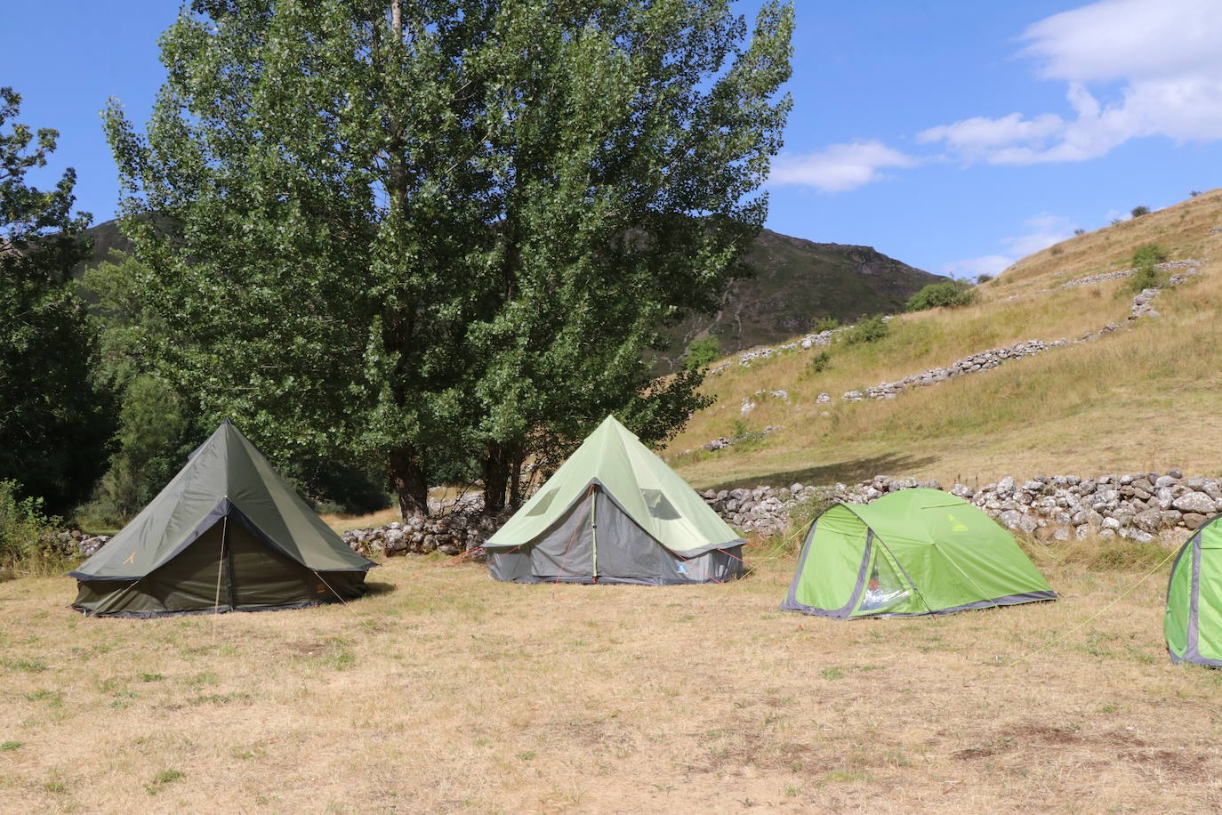 Los cinco niños que participarán en 'Aventura Trashumante' durante esta semana. 