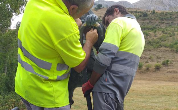 Trabajos para reinstalar el monumento.