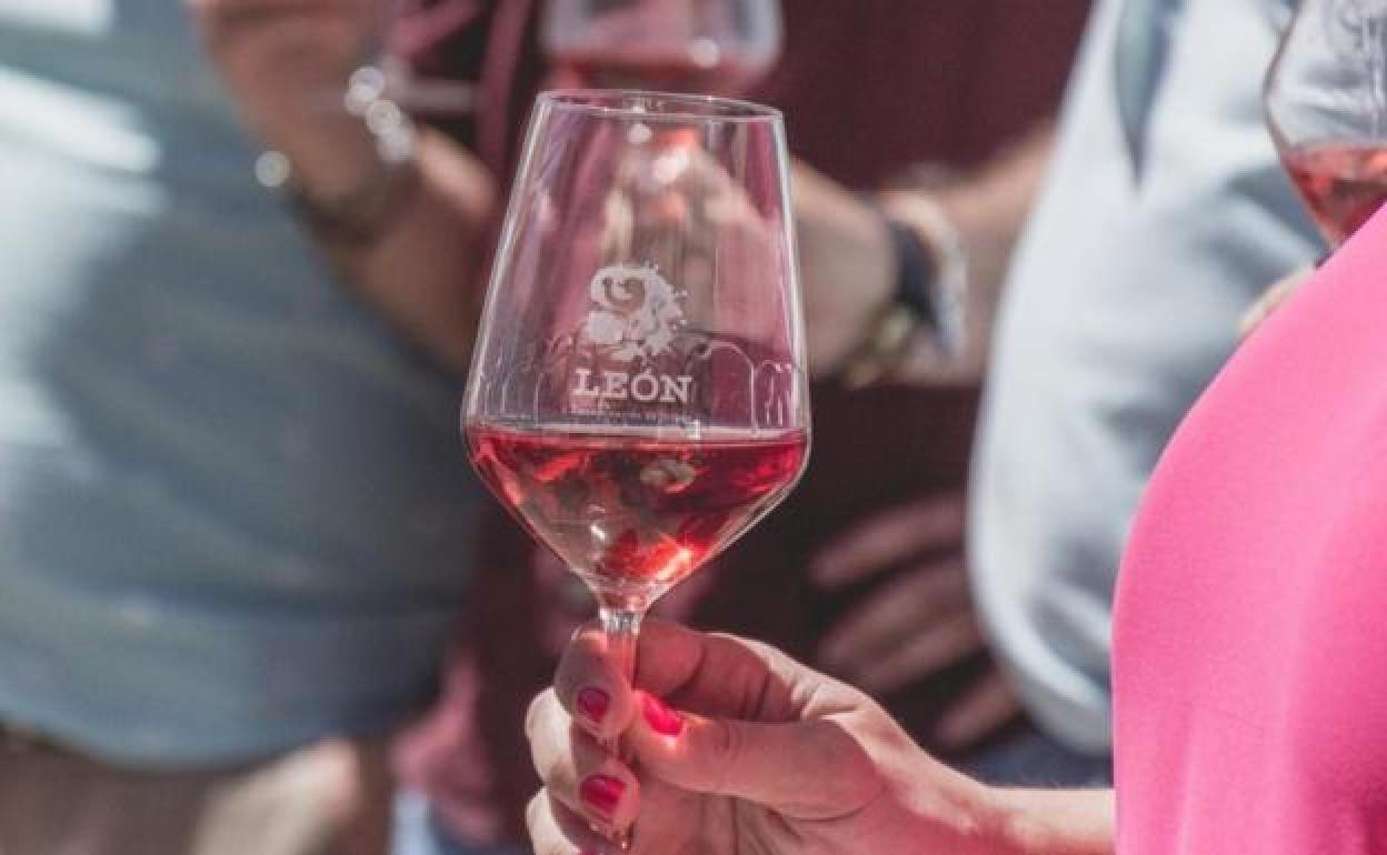 Los vinos de la DO León esperan iniciar su vendiimia en el próximo mes.